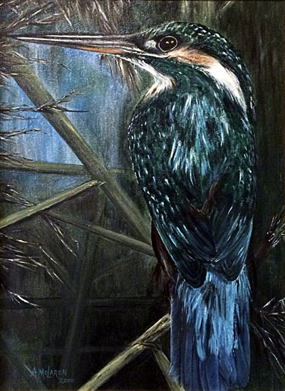 Kingfisher - playing a waiting game.  Oils